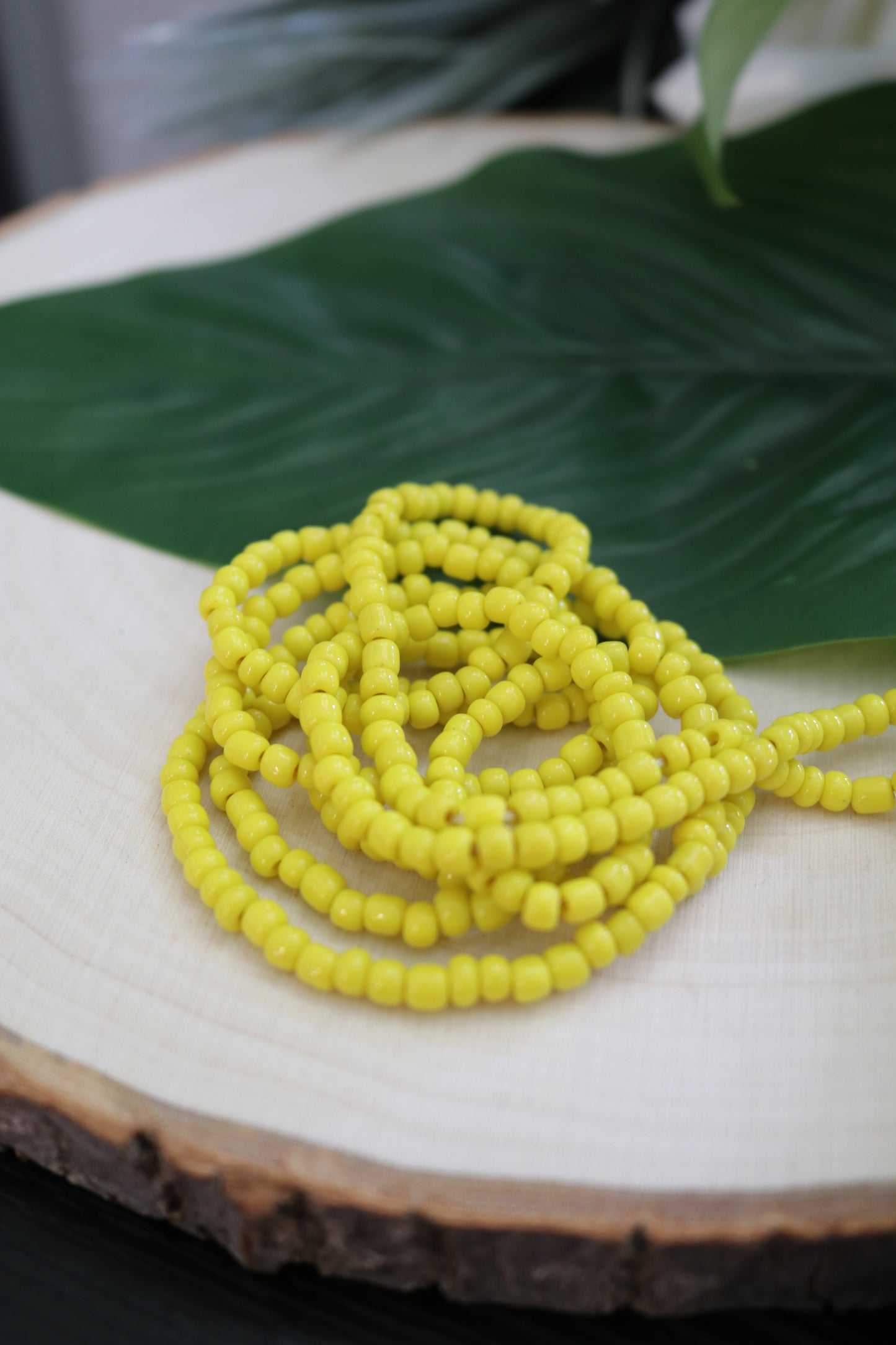 Yellow Solid Strand