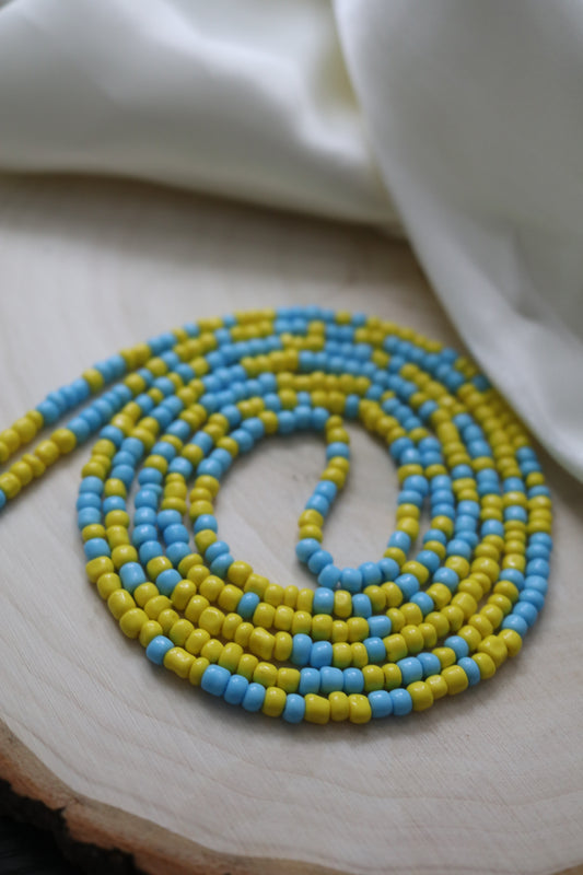 Blue & Yellow Dual Color